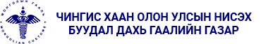 Чингис хаан олон улсын нисэх буудал дахь гаалийн газар